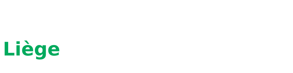 Serrurier Liège Logo